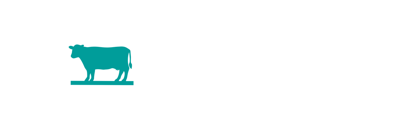 PesoCam