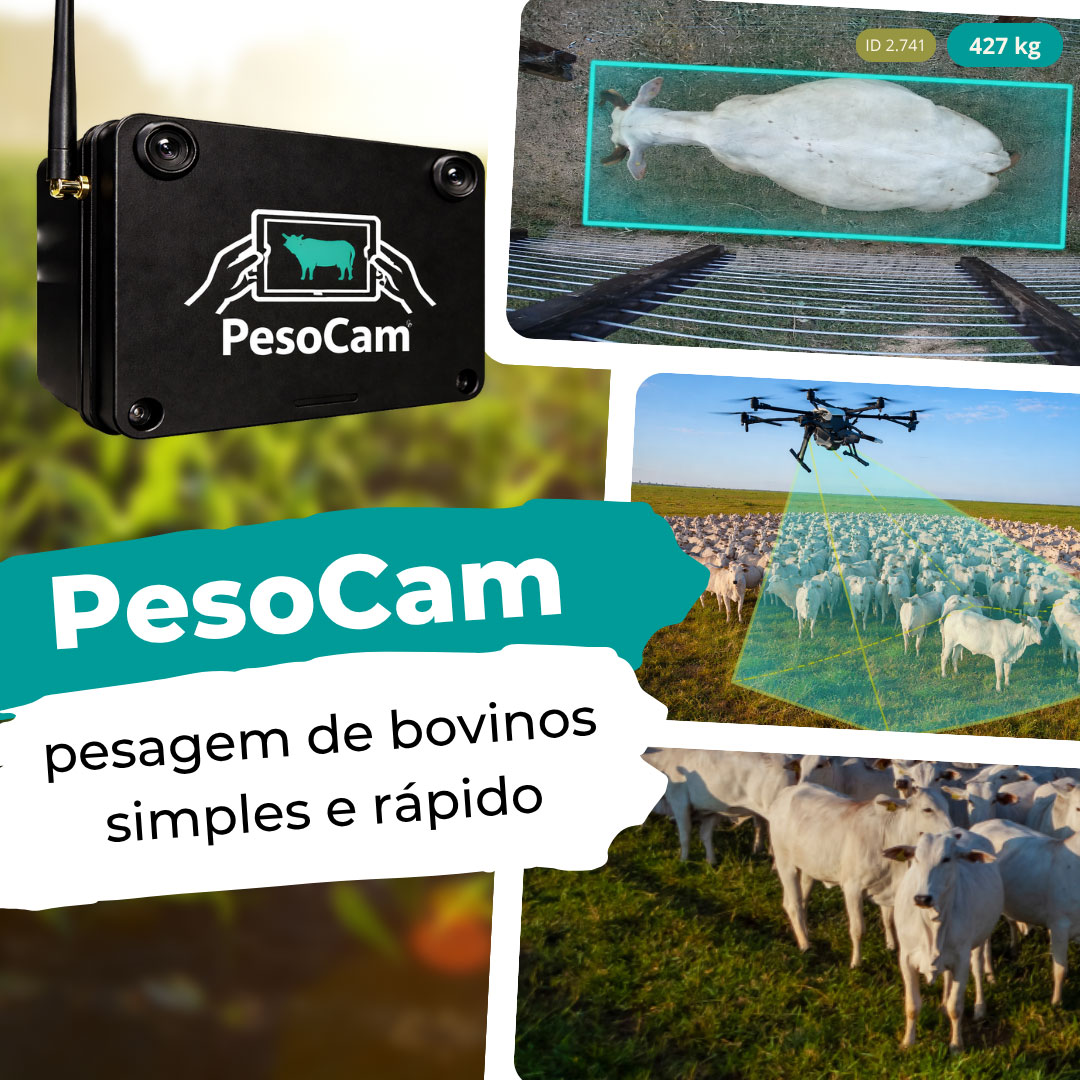 Projeto PesoCam